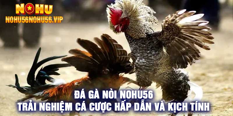 Đá Gà Nòi Nohu56 Trải Nghiệm Cá Cược Hấp Dẫn Và Kịch Tính